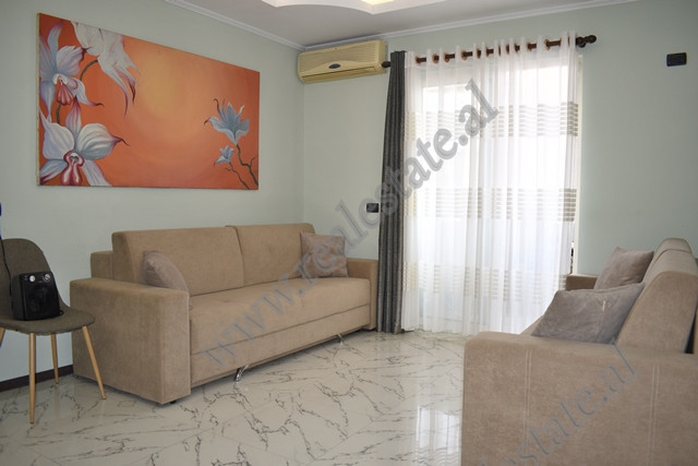 Apartment for rent in Sulejman Delvina Street, Tirana, Albania (TRR-513-21)